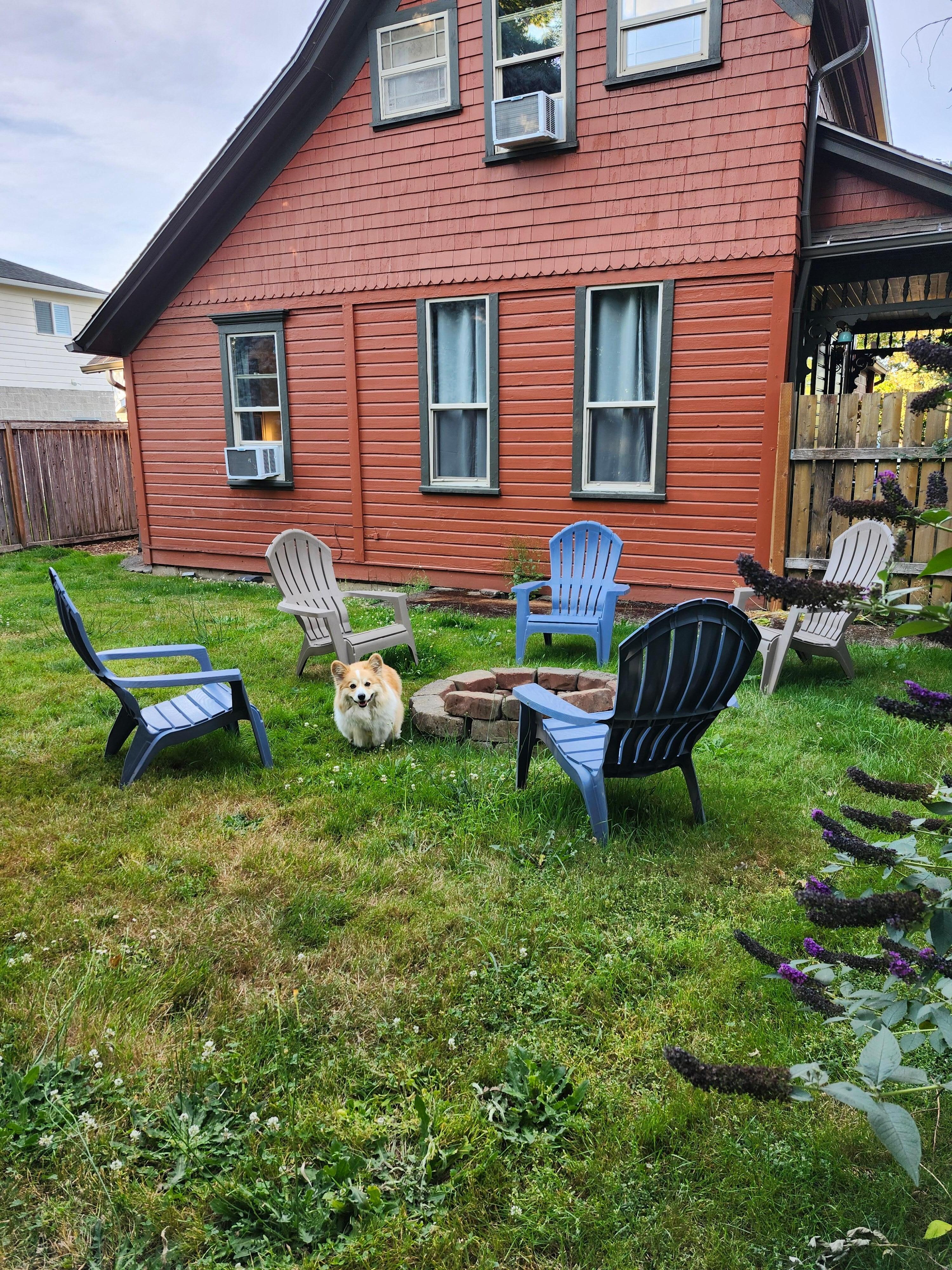 Backyard firepit.