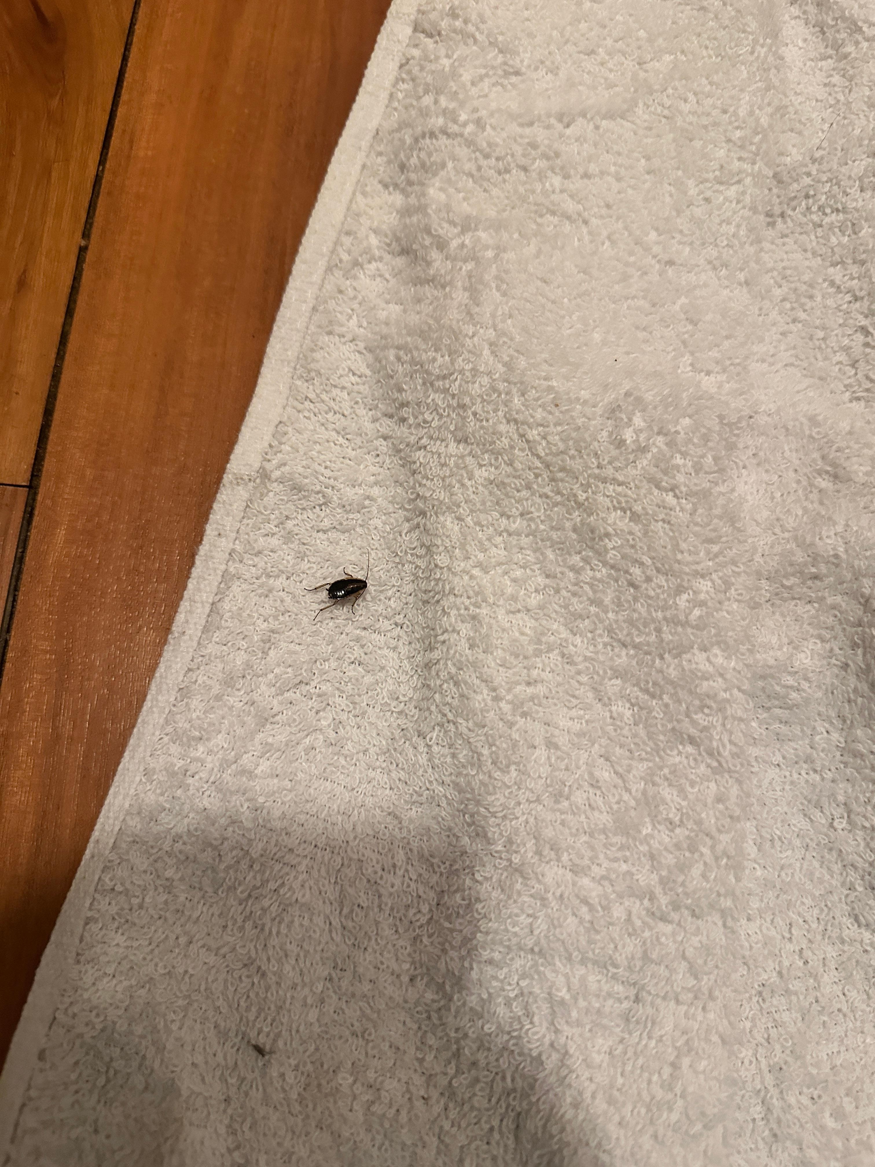 Don’t stay here roaches everywhere!!!