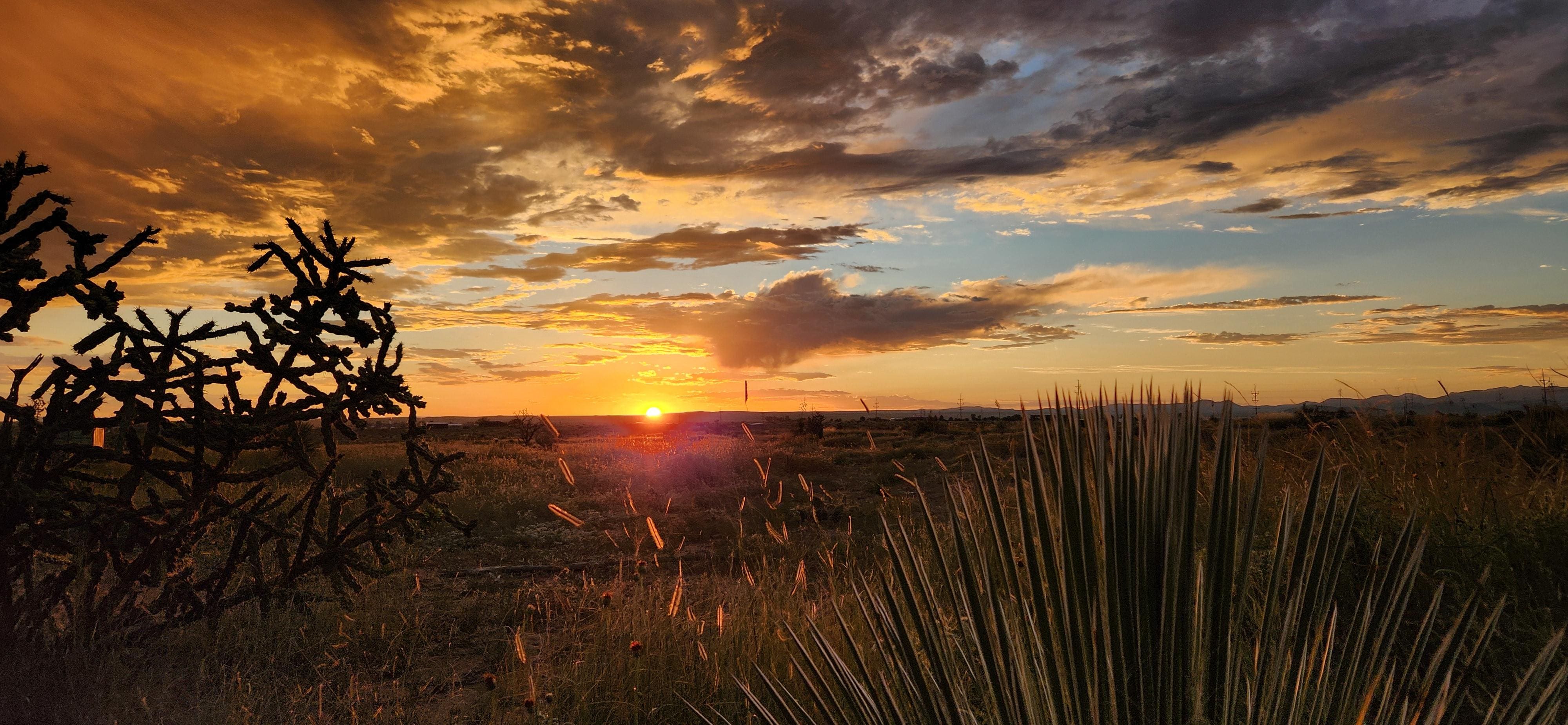 Sunset just outside the  door to the West of course.  :-)
