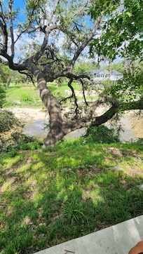 Outside view from the patio area