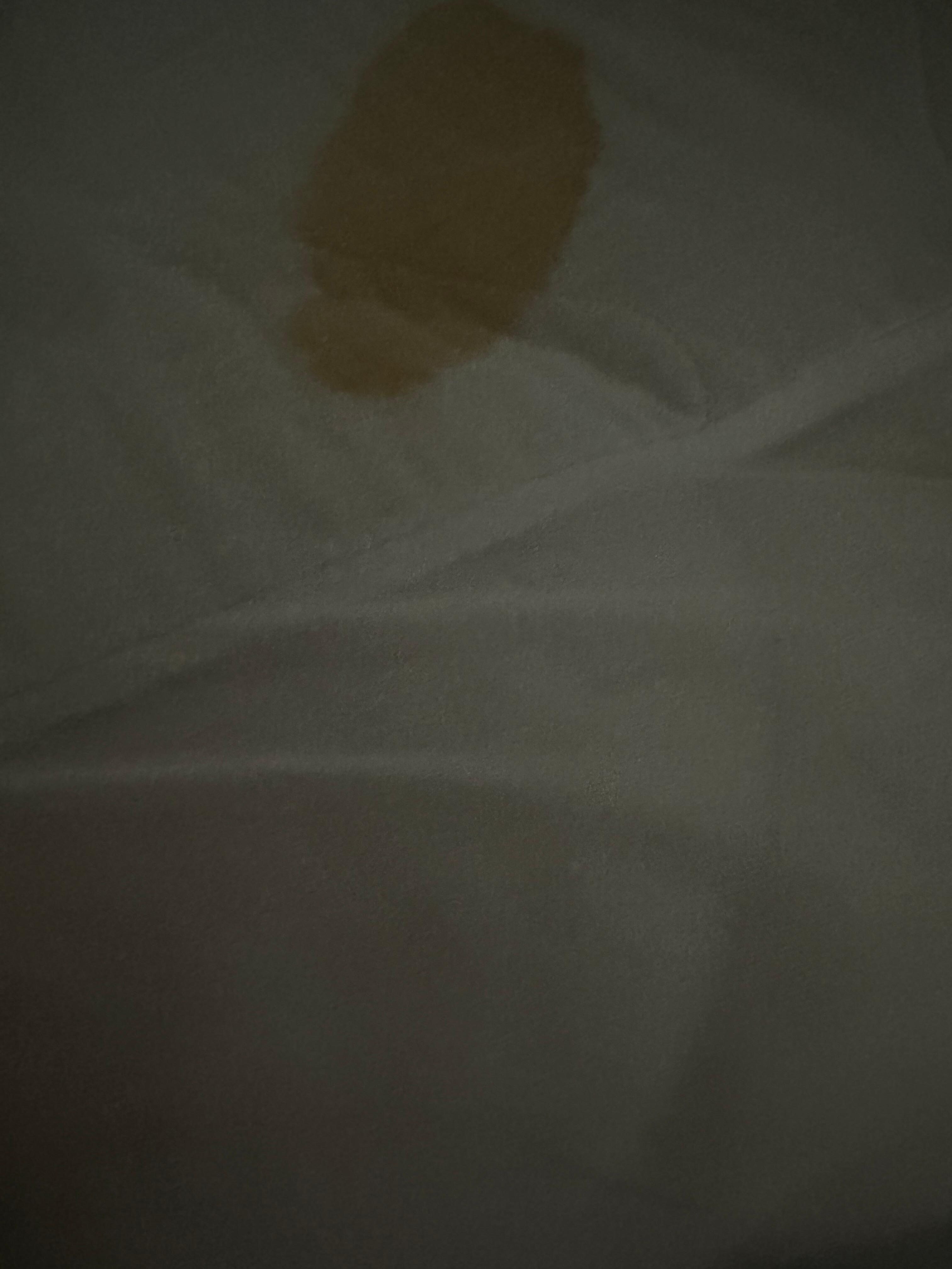 Stain on the mattress cover…nasty