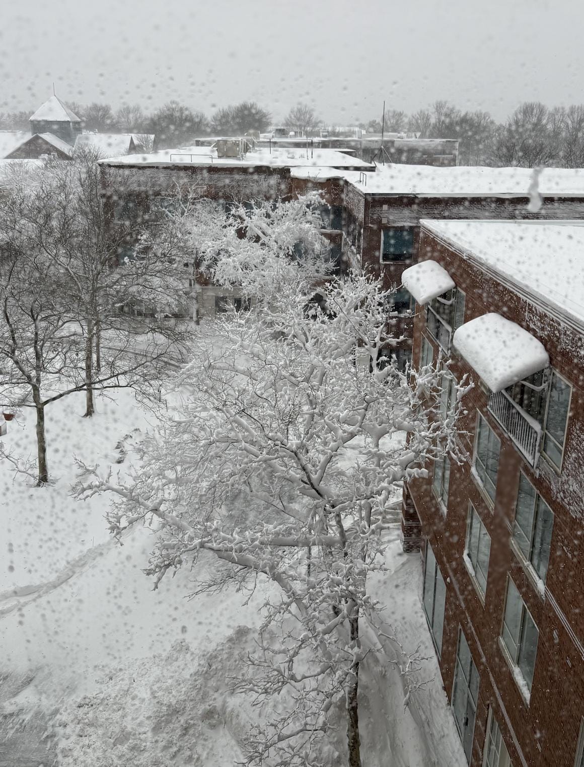 Blizzard dumping 24 inches of snow overnight