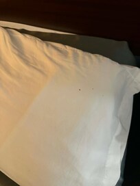 Blood stains on pillow case