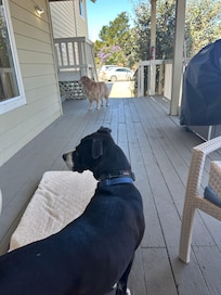 Visit from Bourbon