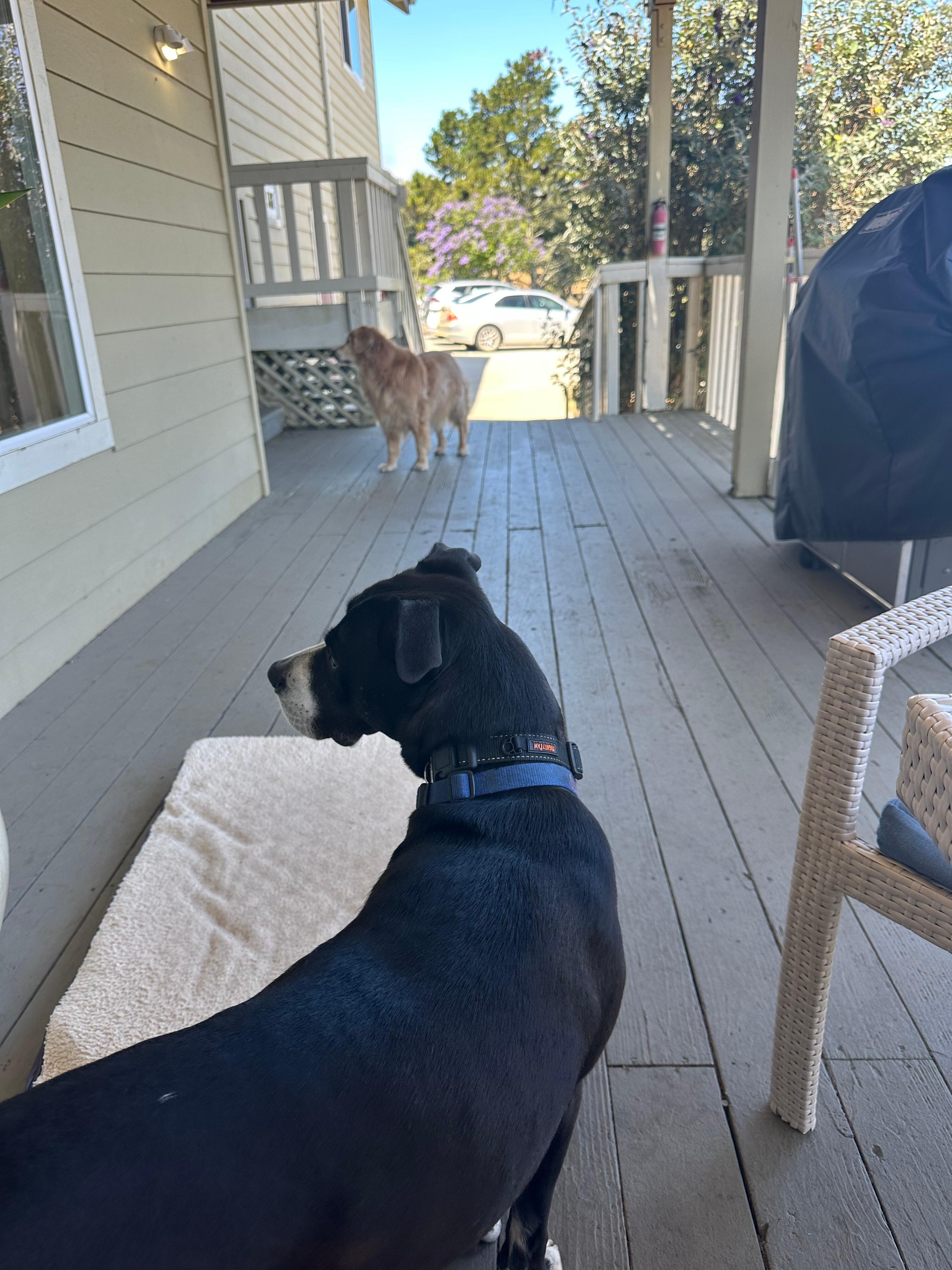 Visit from Bourbon