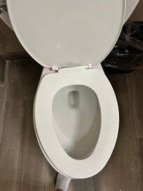 Broken toilet seat