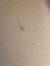 The clump of hair on the bed