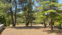 Jardin vers le bas