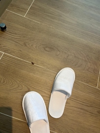 Cockroach found in our room