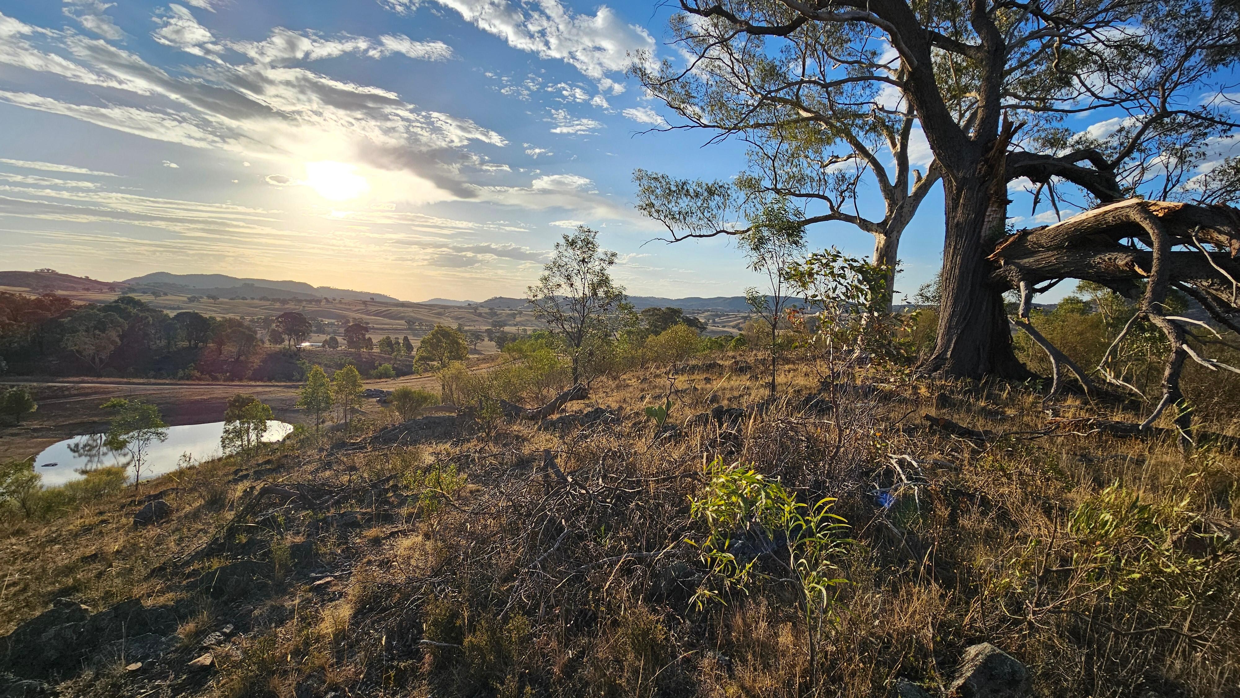 Looking towards the West late afternoon