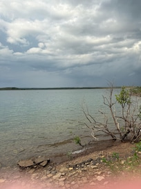 Just some of the beauty of nature.