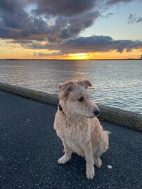 An der Mole/Fährhafen