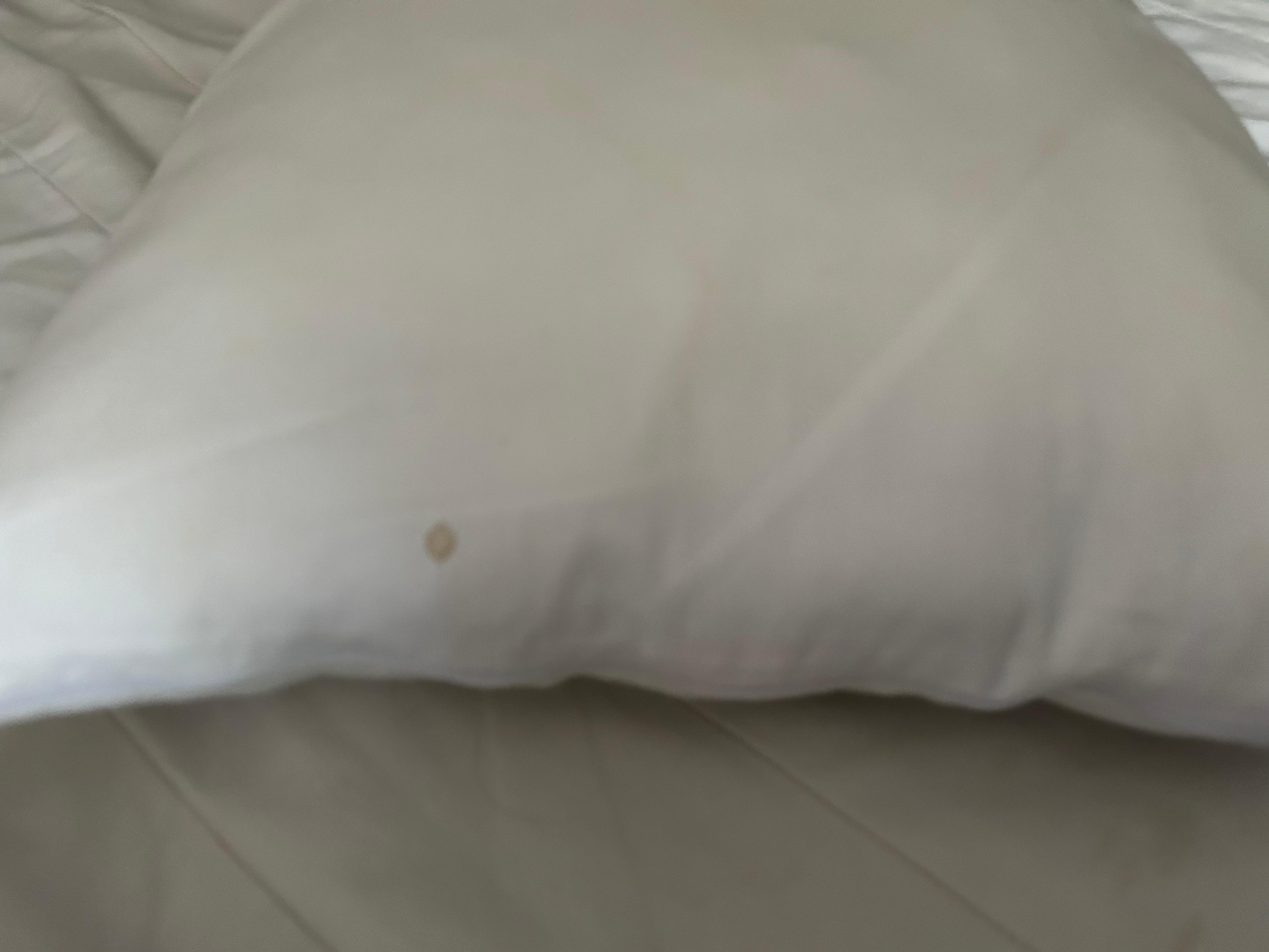 More blood stains
