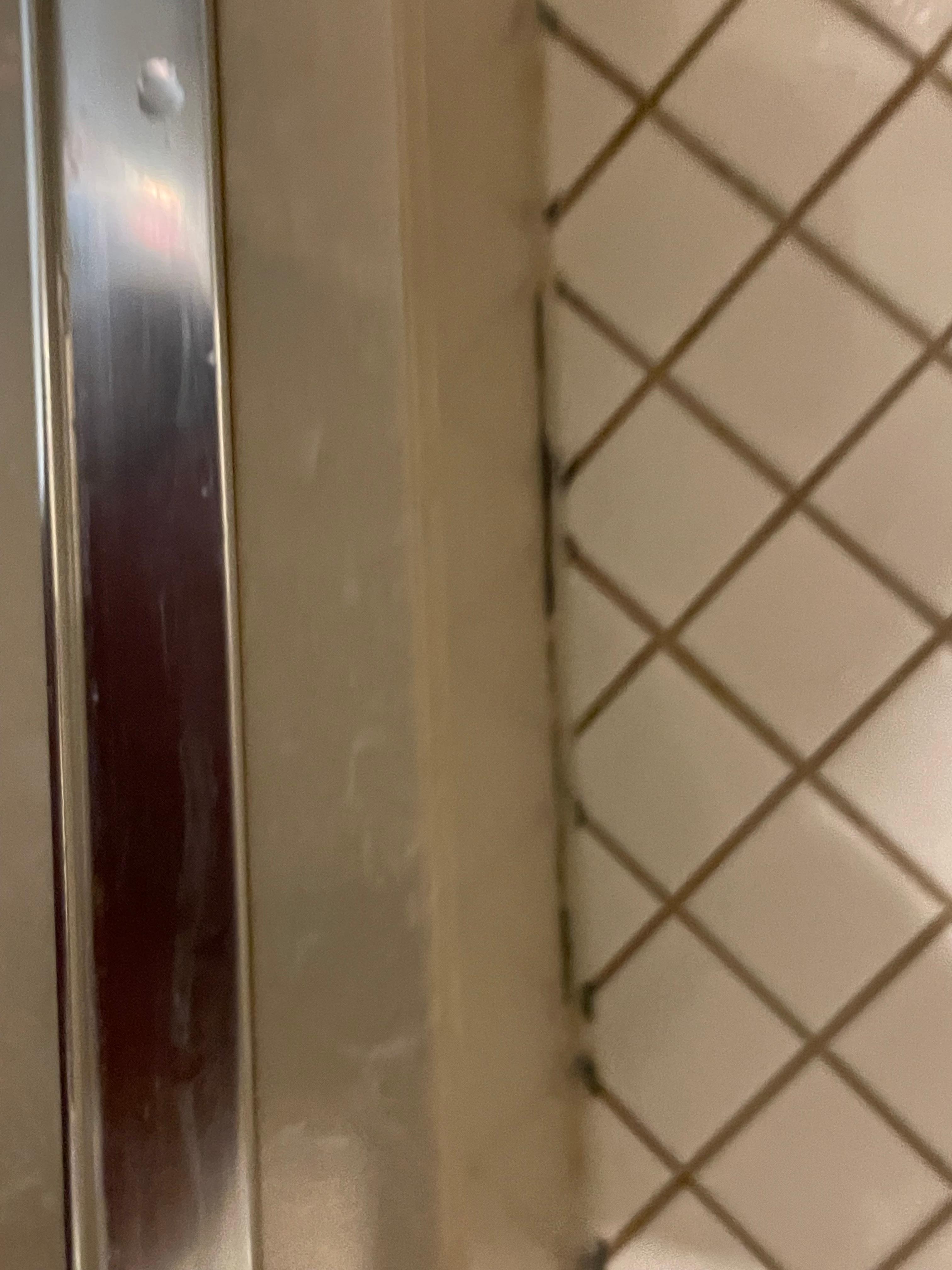 Mold in shower
