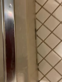 Mold in shower