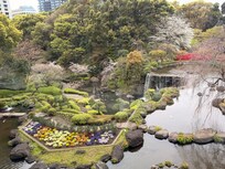 view of garden from garden rsstaurant