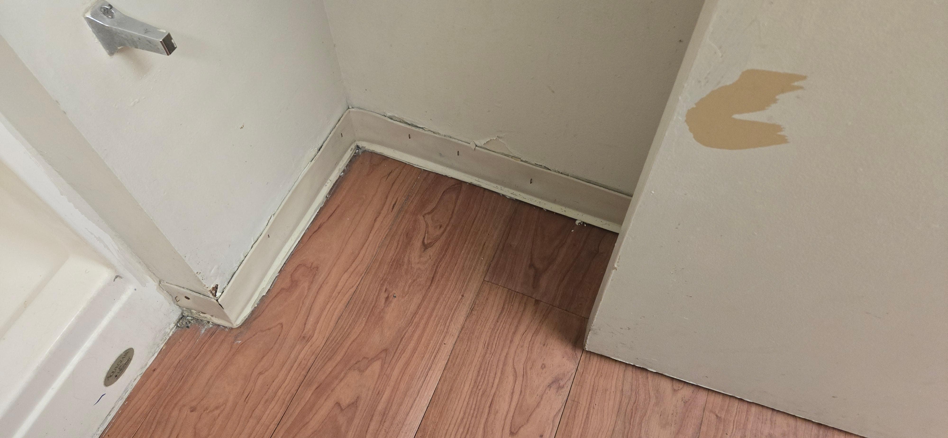 Lifting and missing flooring
