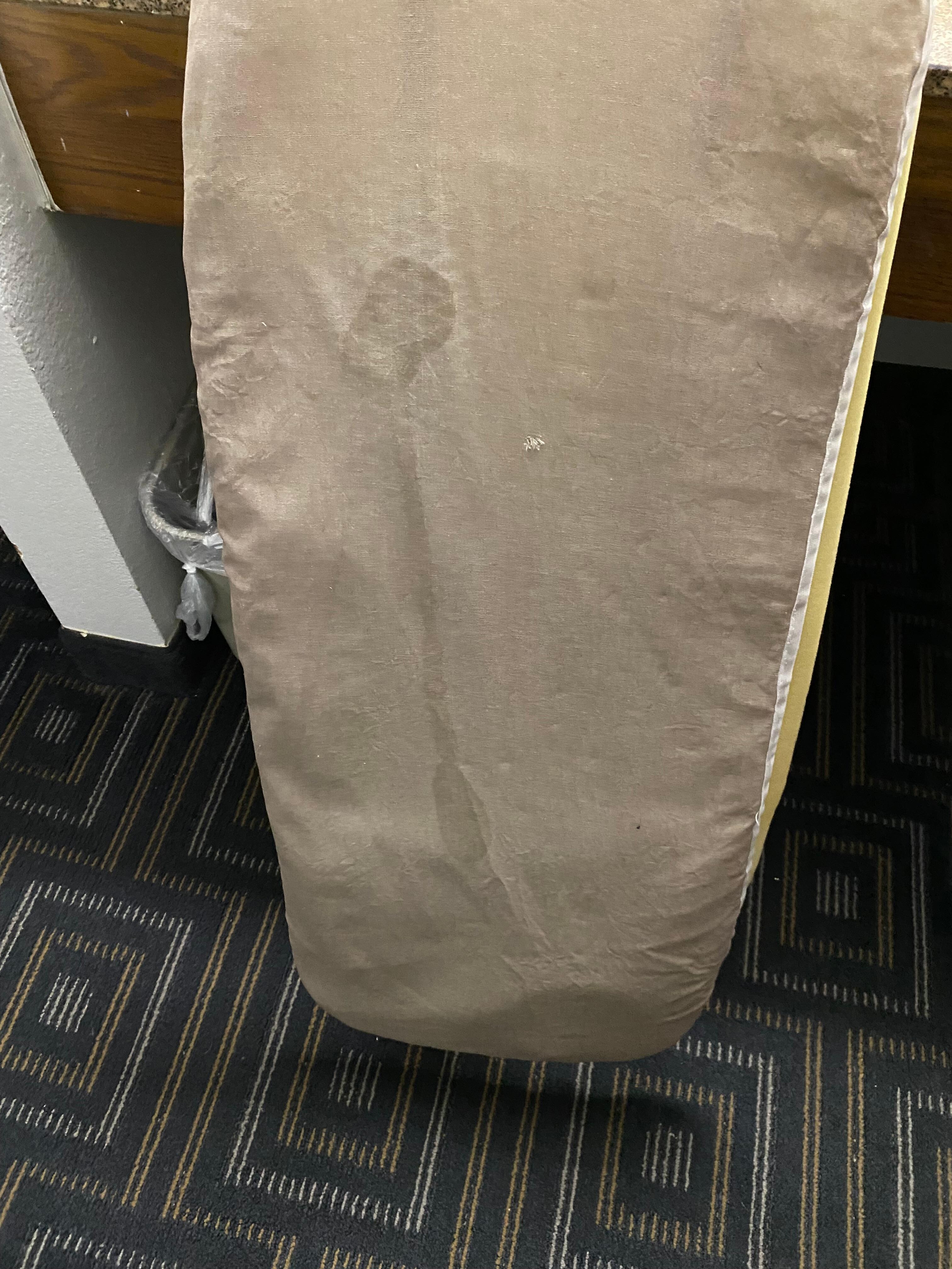 Absolutely filthy ironing board cover