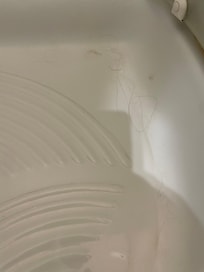 Cheveux d’accueil dans la douche