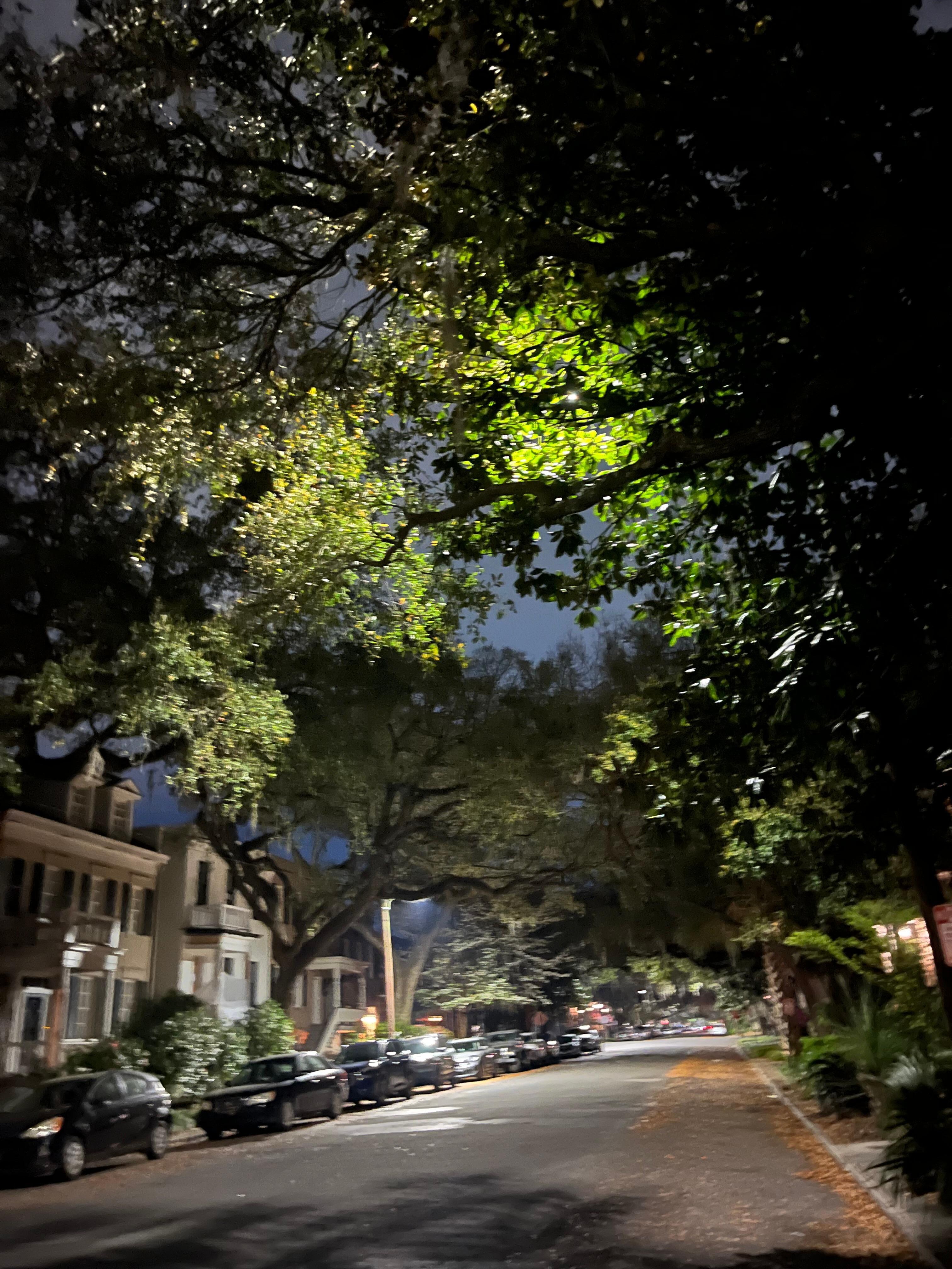 Around the corner is Jones Street. Magical. 