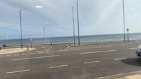 Breakfast view!