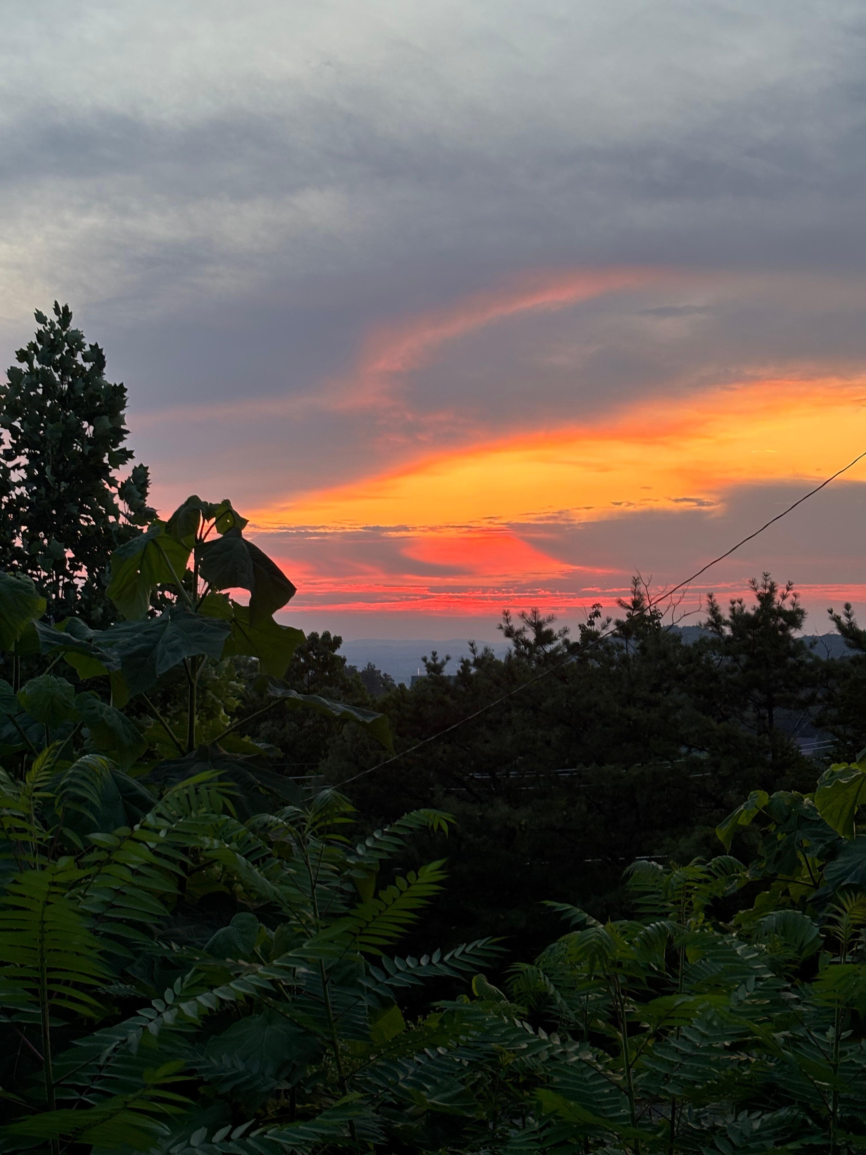 Beautiful sunset
