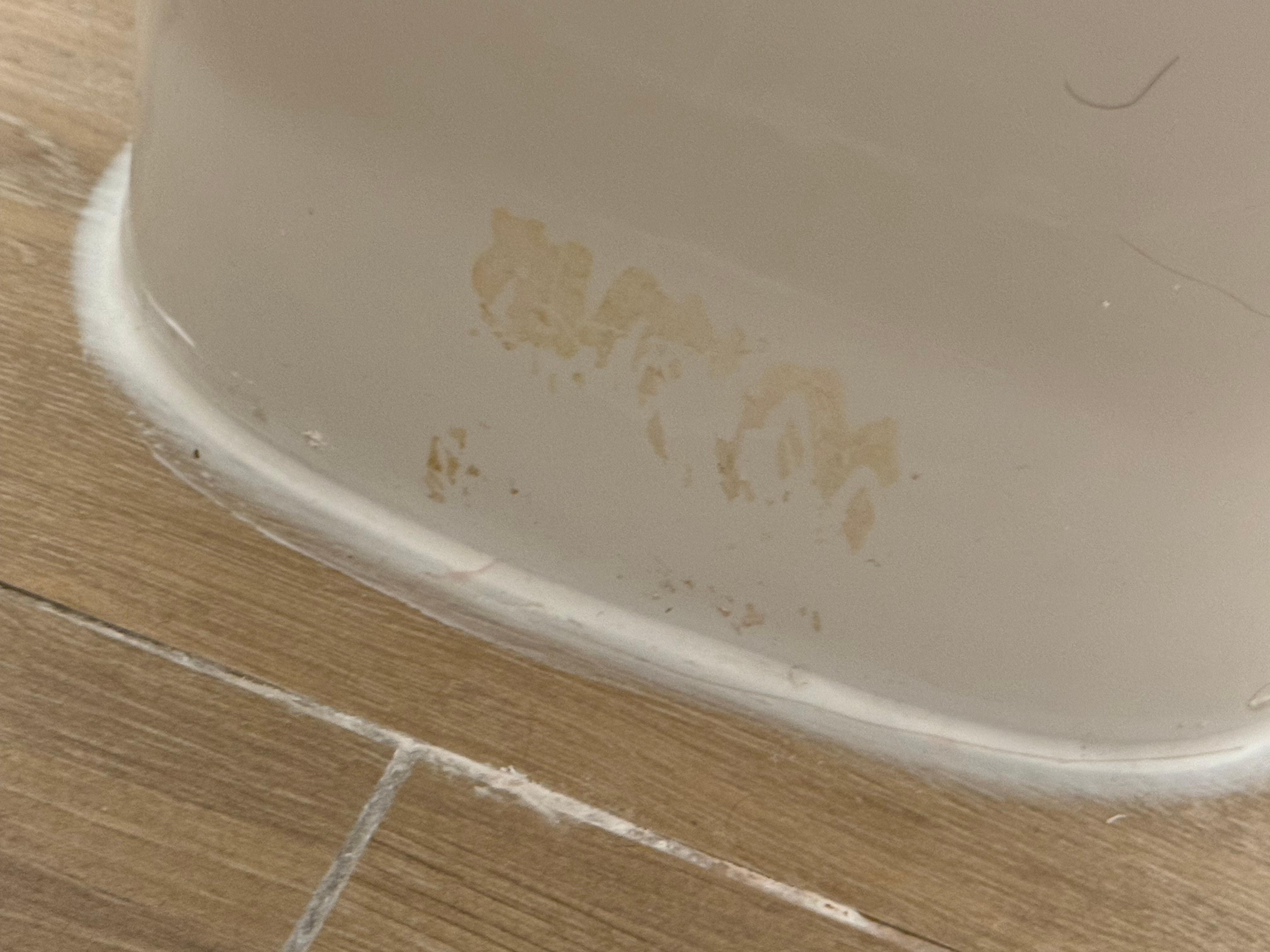 Toilet had dried out urine on it i had to clean the seating area before doing my thing