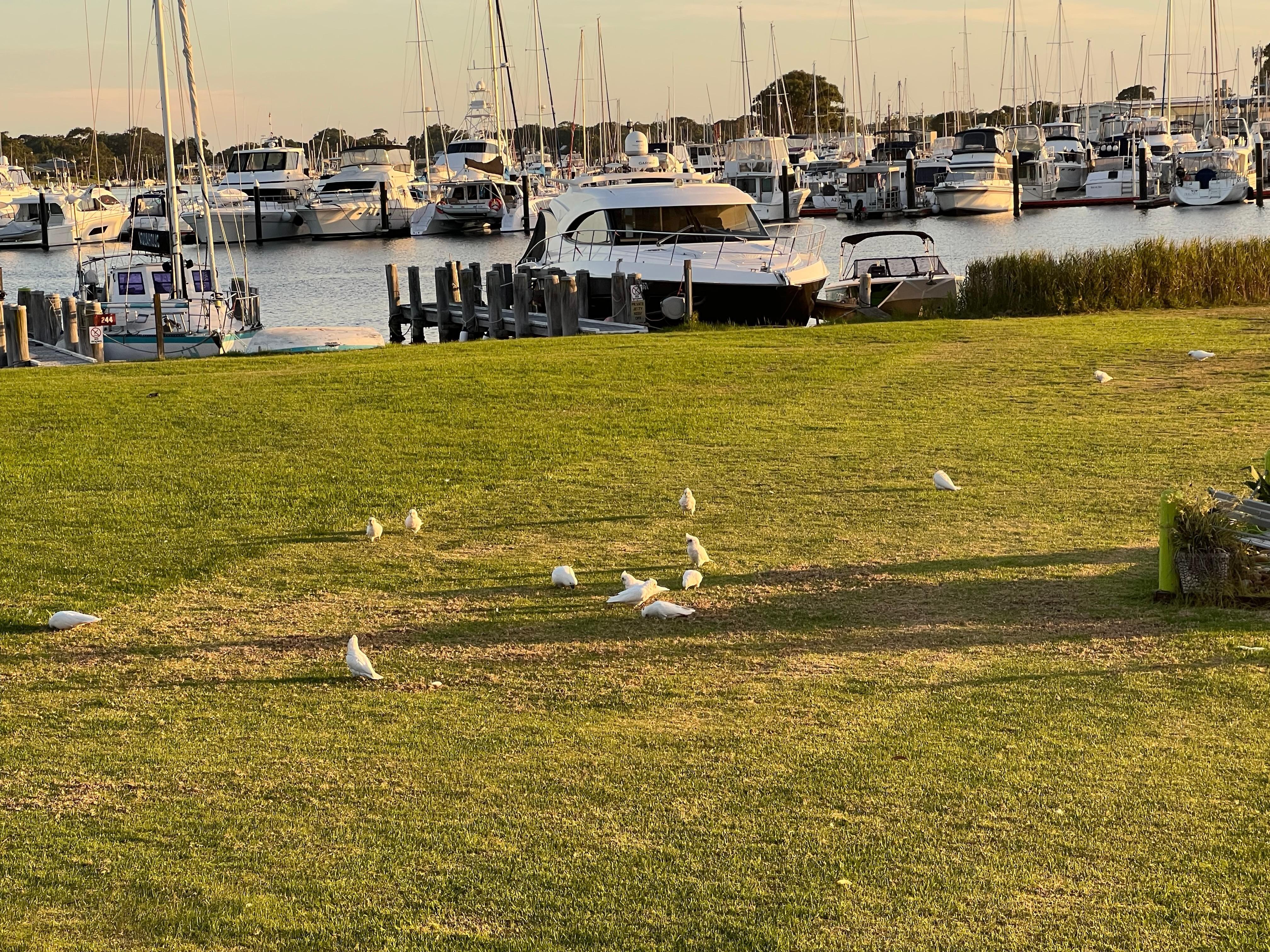 Watching the bird life in front of the press one of the delights