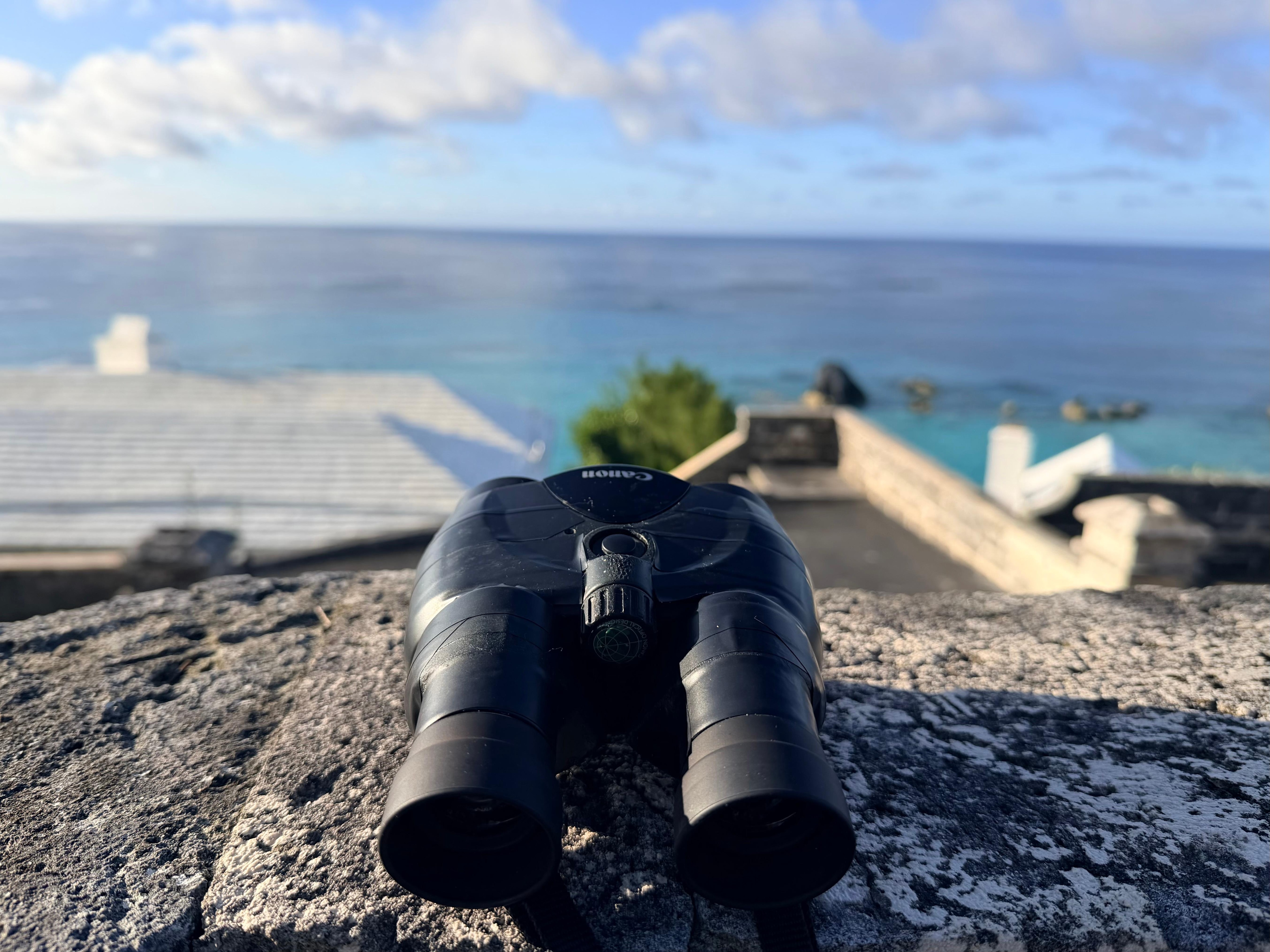 Our 6.30am routine coffee with the Whales