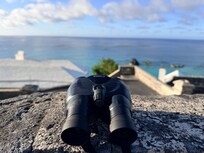Our 6.30am routine coffee with the Whales