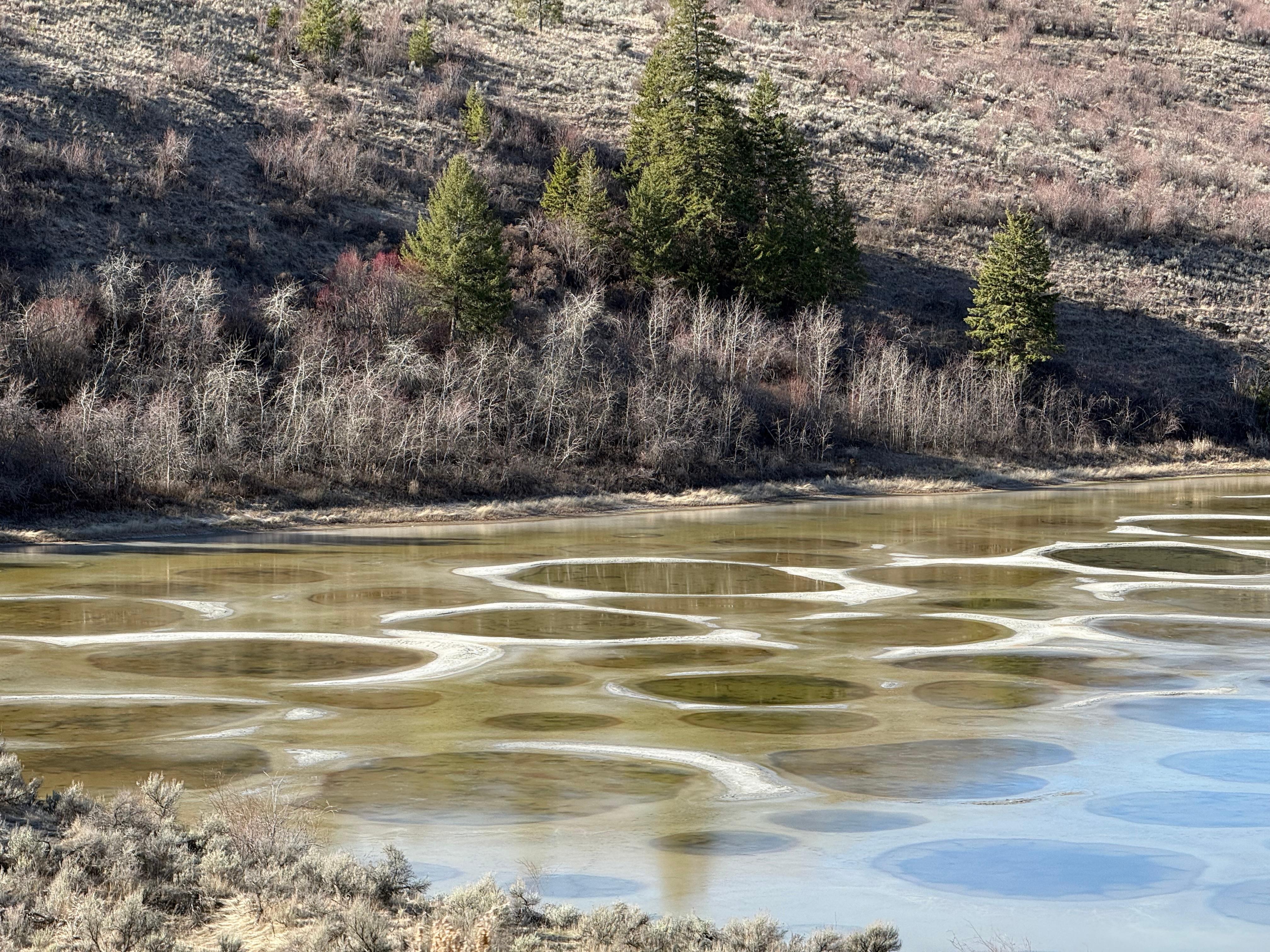 Spotted Lake