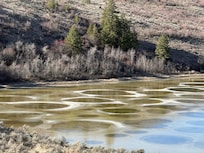 Spotted Lake