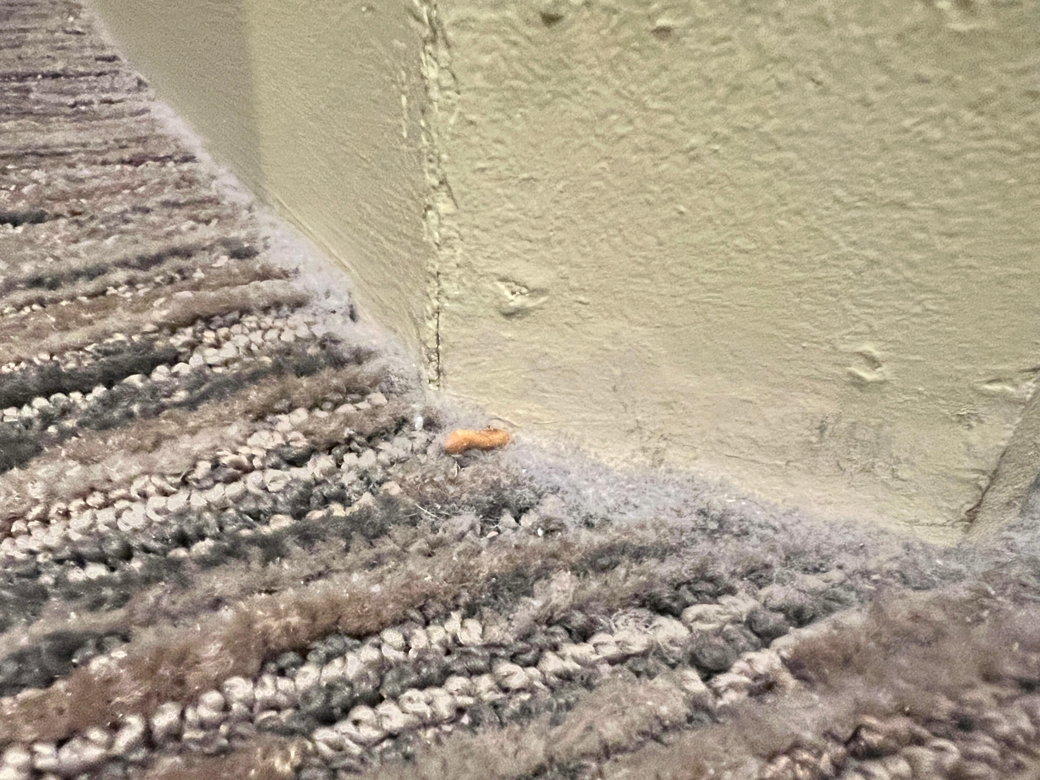 20 years of dust around every corner of the room. 