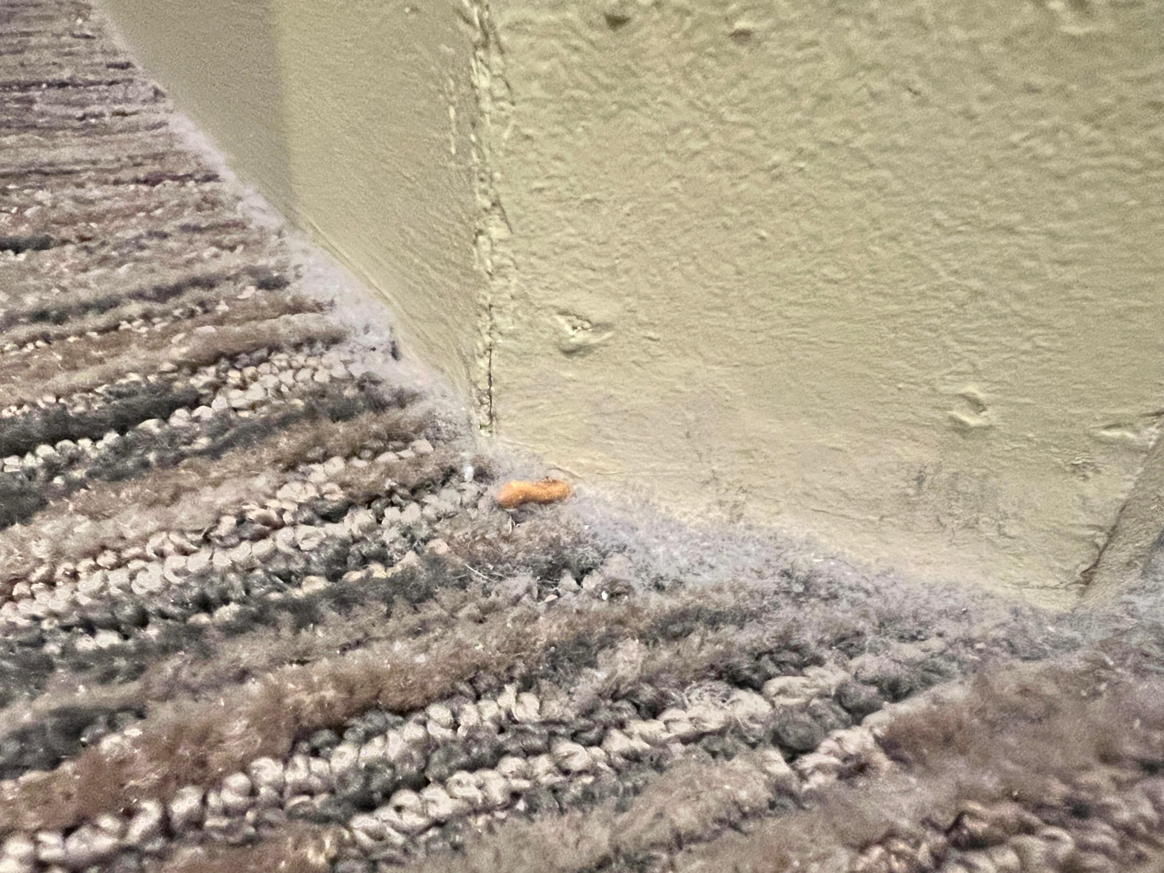 20 years of dust around every corner of the room.