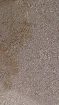 Mildew