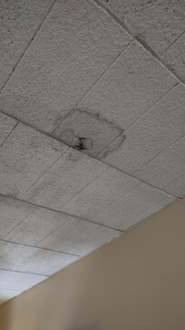 Water stains, possible leak in ceiling of room