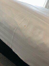 Stains on bed sheets