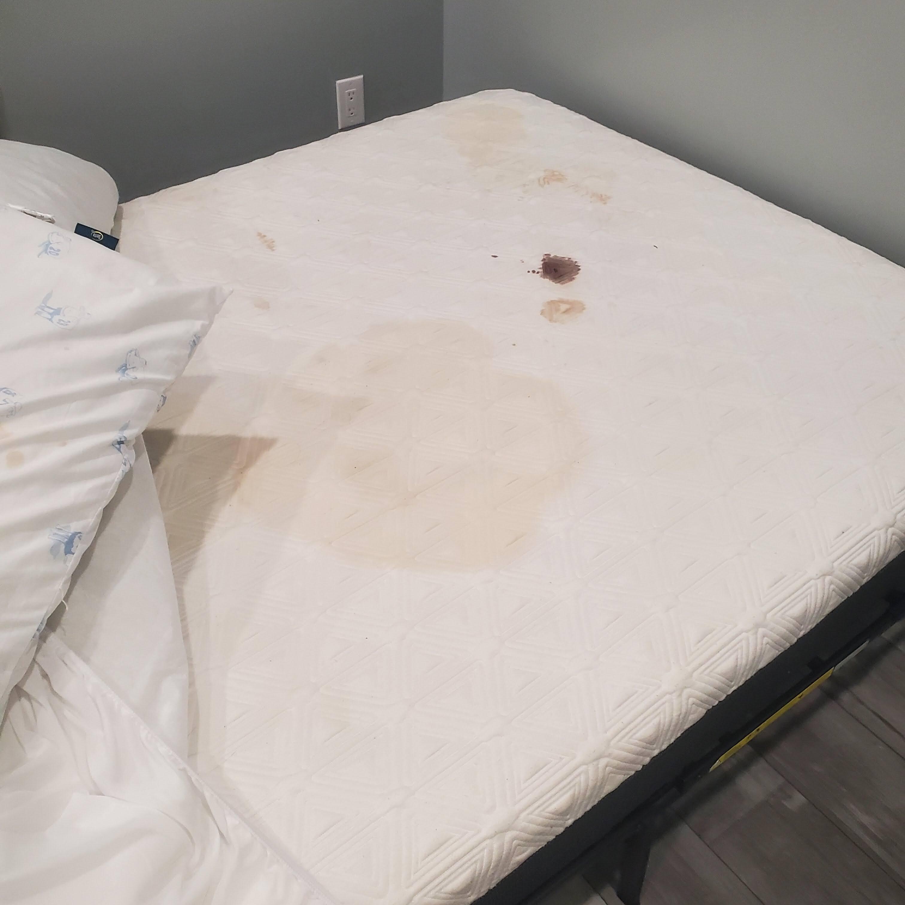 Blood and bodily fluids on mattress