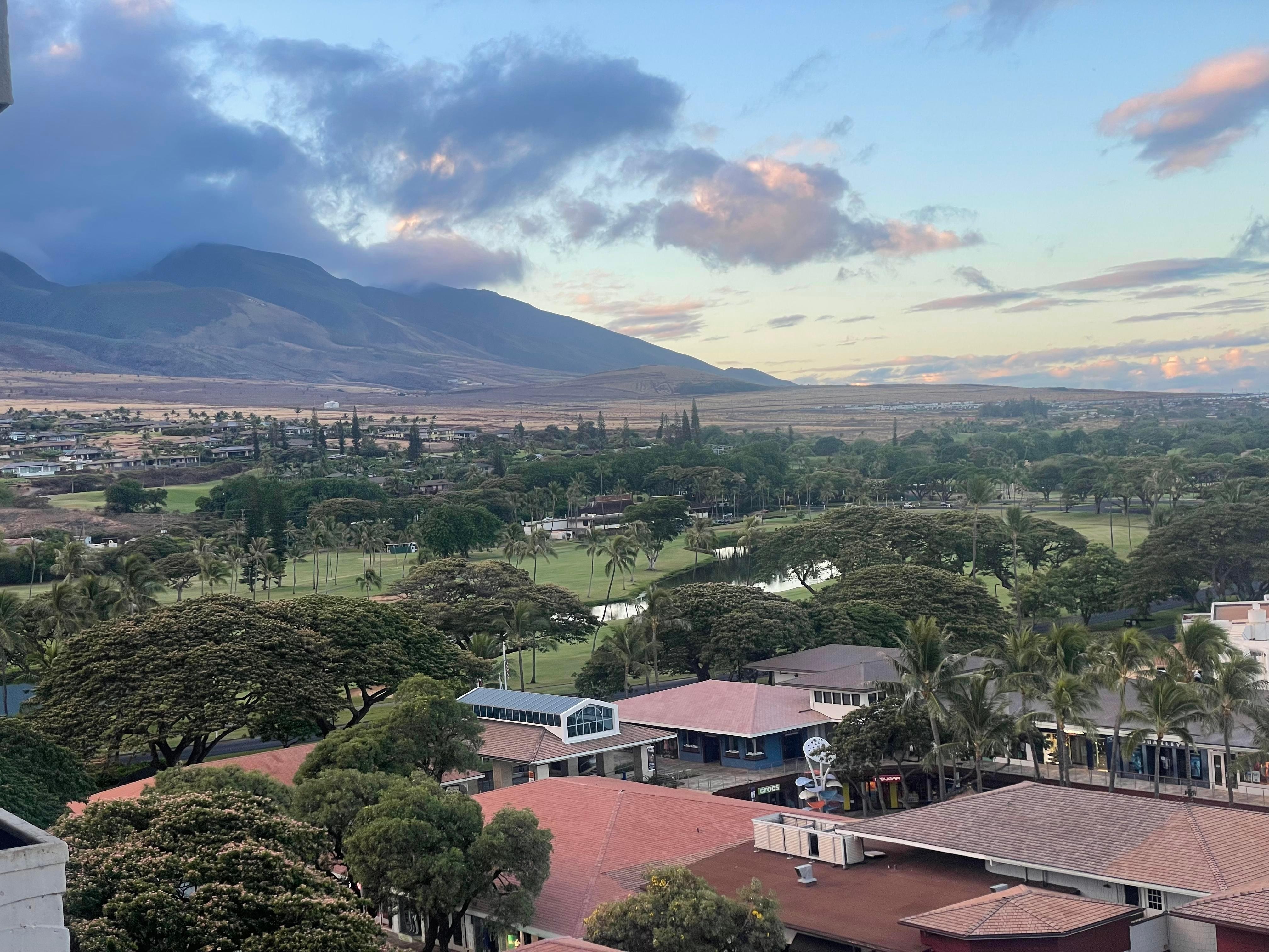 View looking from condo balcony away from ocean