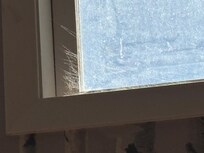 Cobwebs and very dirty windows