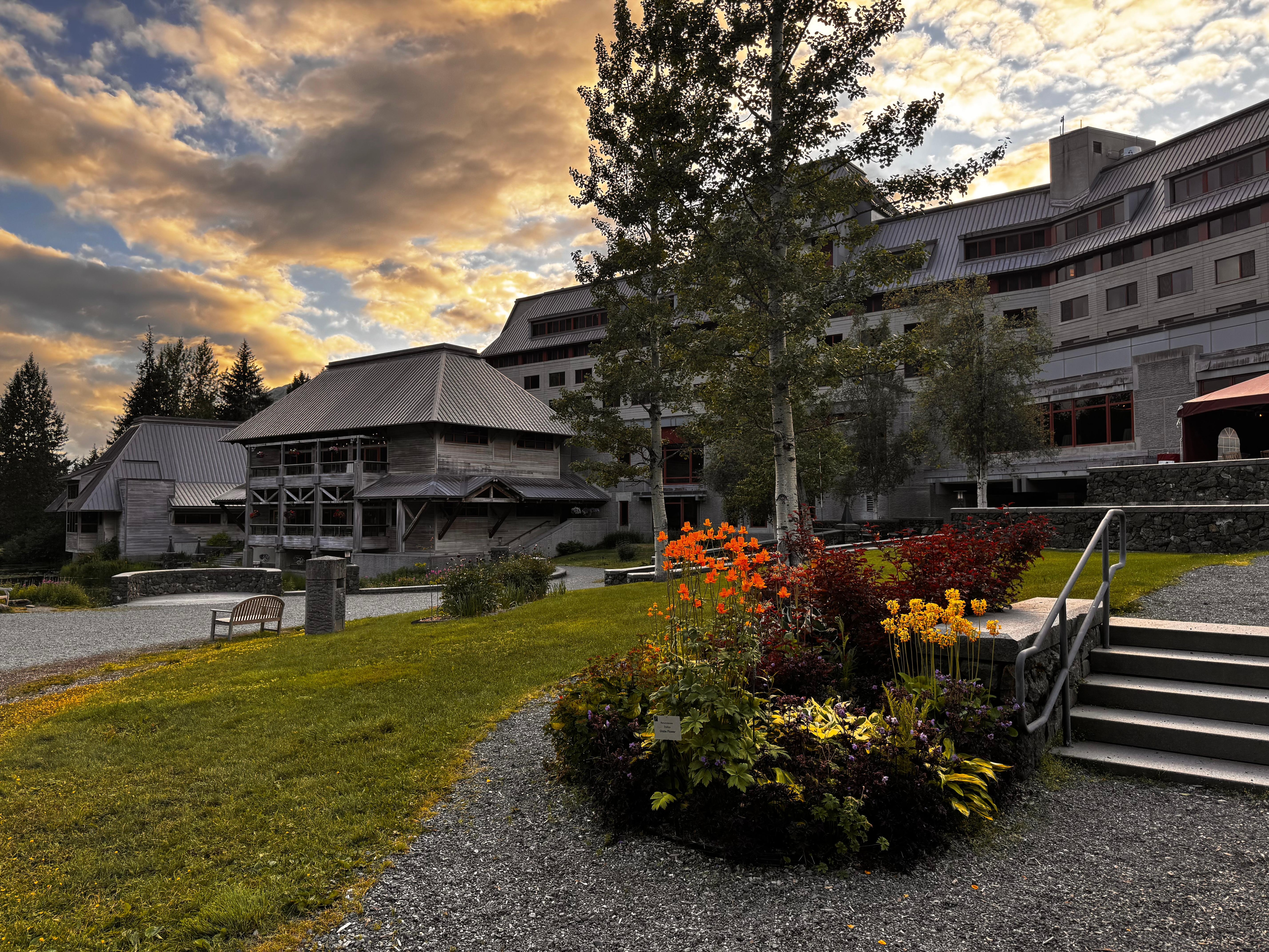 Beautiful summer wildflowers abound 