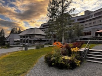 Beautiful summer wildflowers abound
