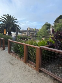 Beautiful view