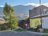 Elk in front of hotel yard.