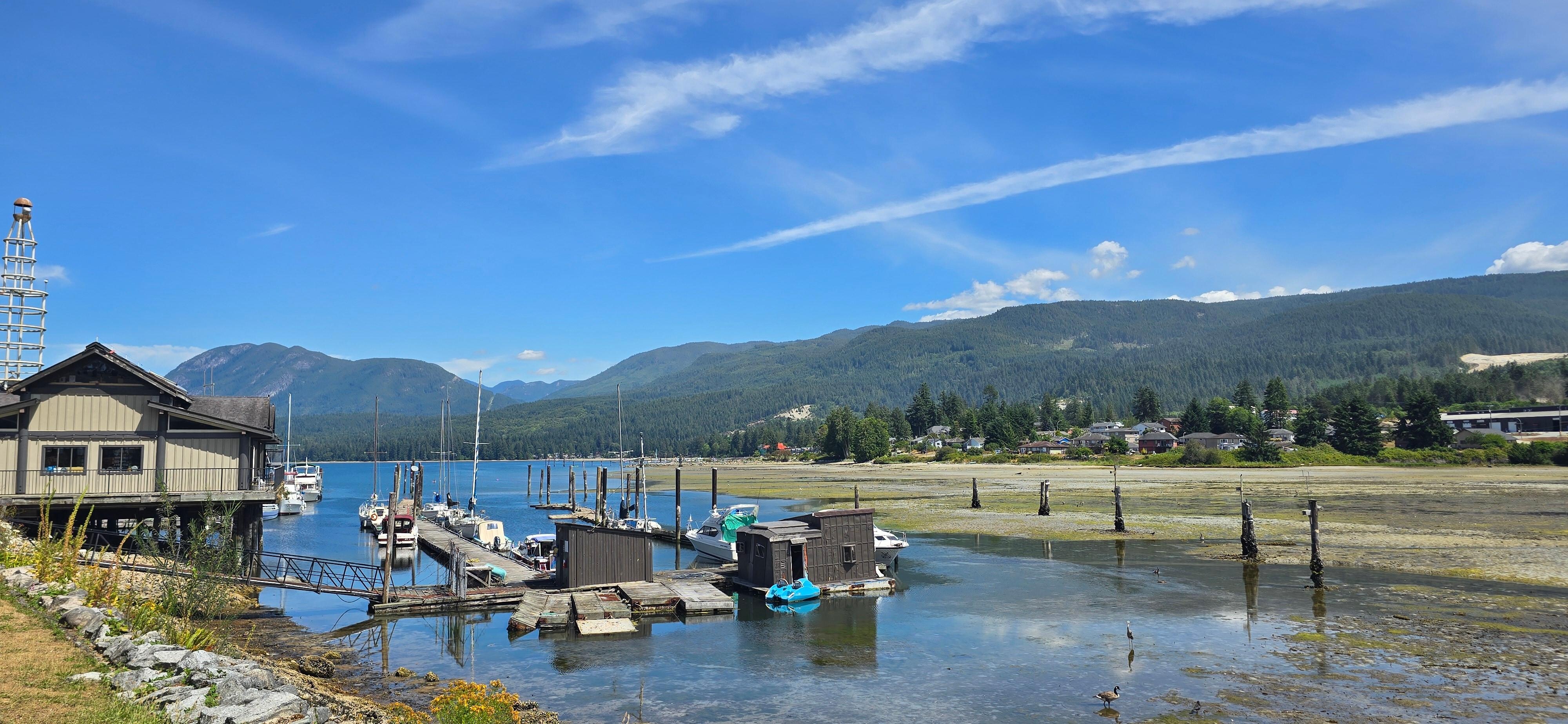 Nice view from back yard on sunny day.