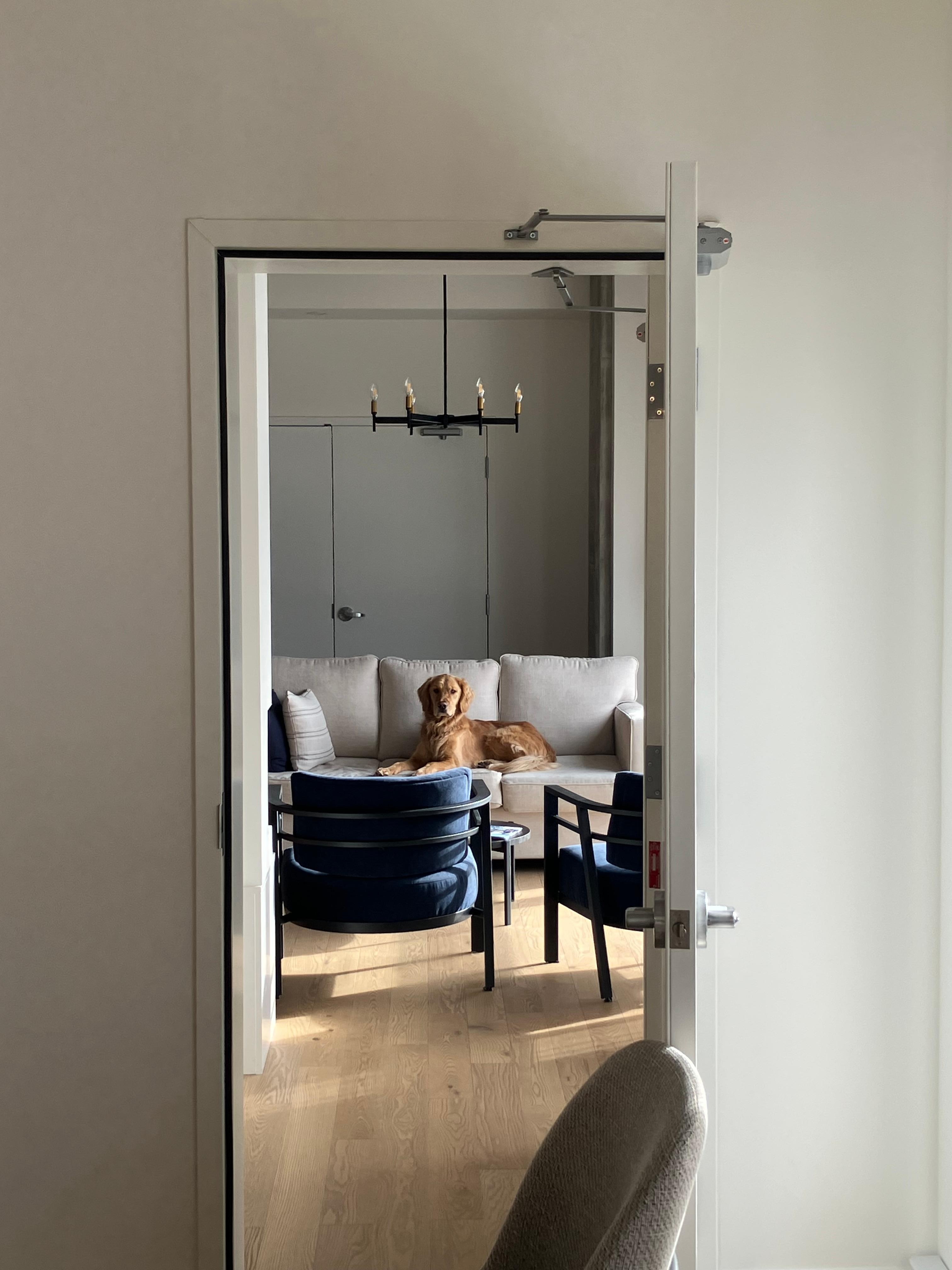 Et nos chiens étaient très contents