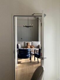 Et nos chiens étaient très contents