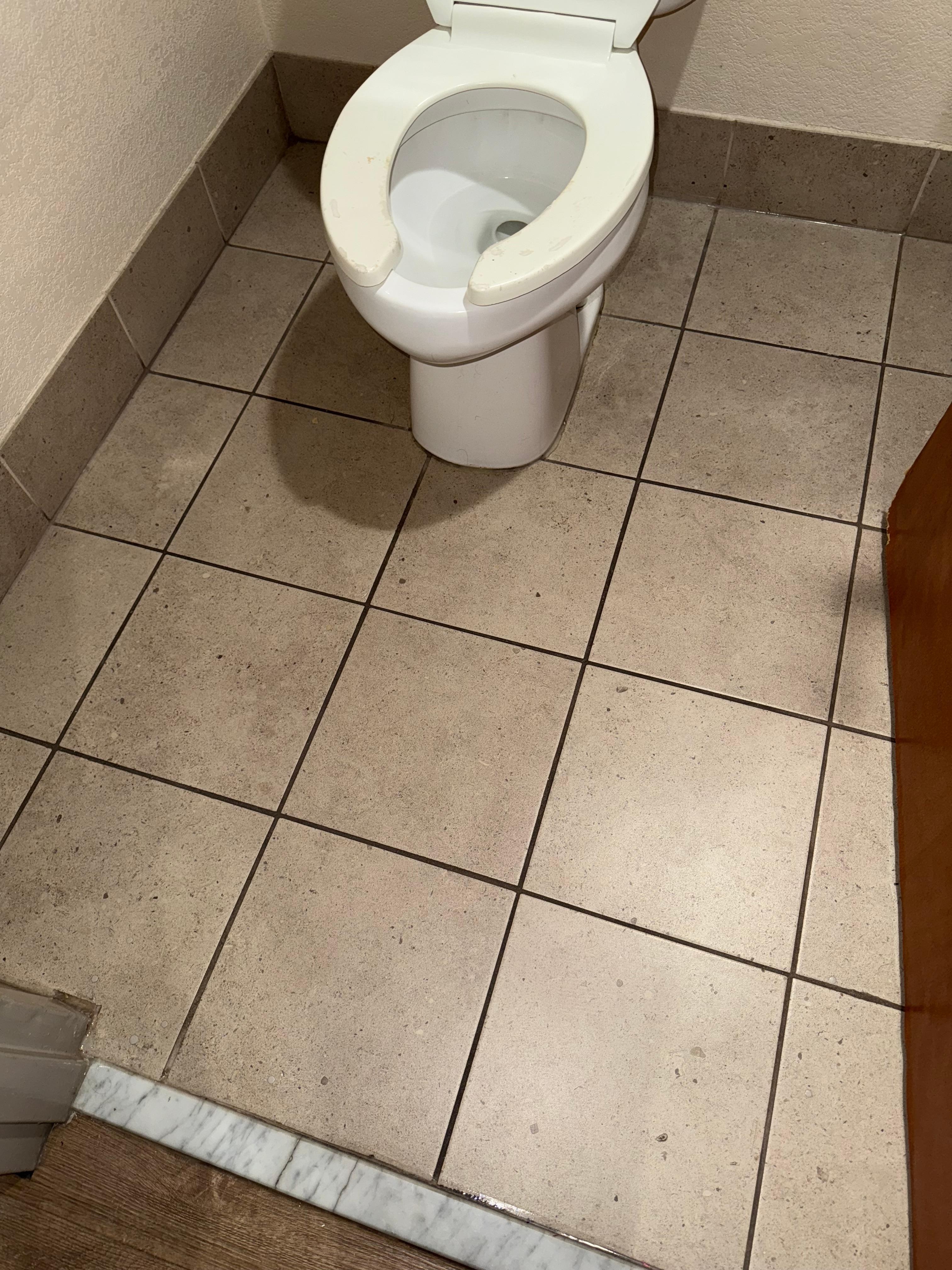 Bathroom floor needed to be swept 