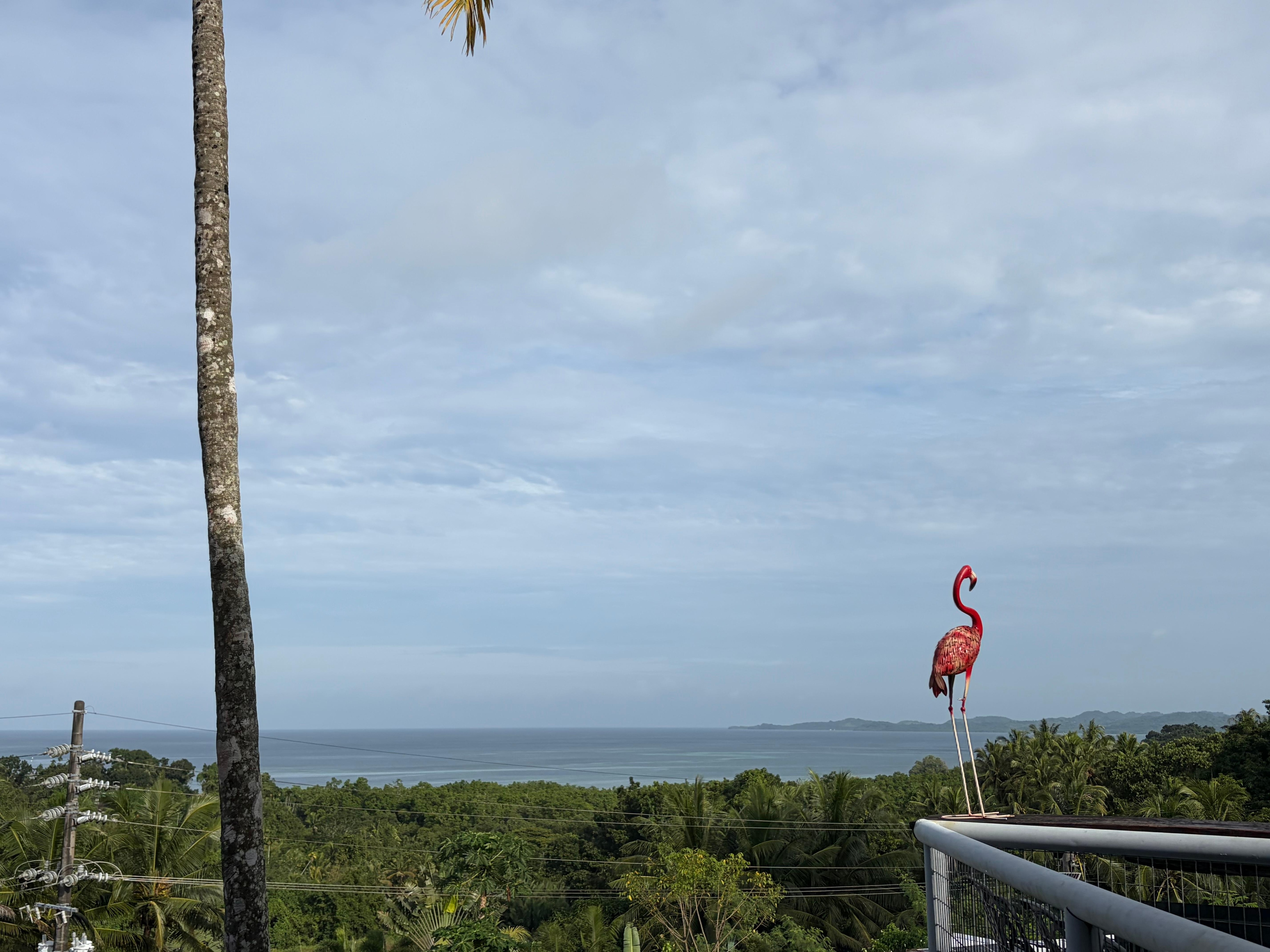 View from the restaurant. 