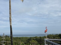 View from the restaurant.